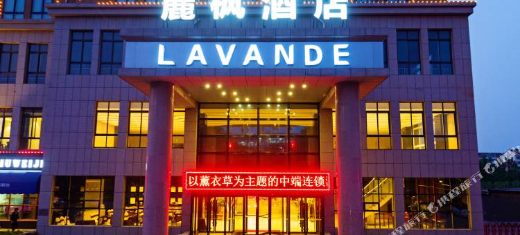 麗枫酒店(德州开发区店)图片