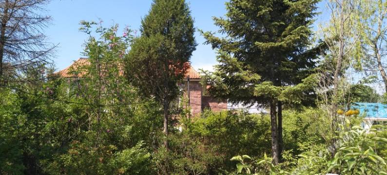 沈阳半山花语独栋别墅图片