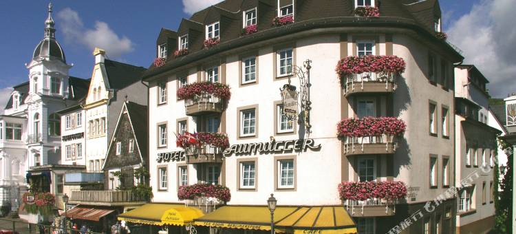 吕德斯海姆特劳贝酒店(Hotel Traube Rüdesheim)图片