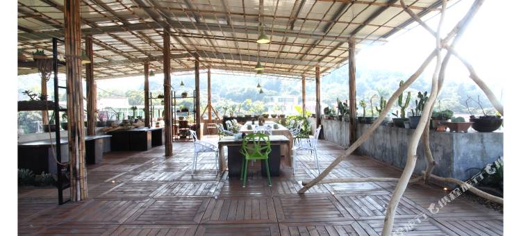 厦门杨雪的花草生活民宿图片