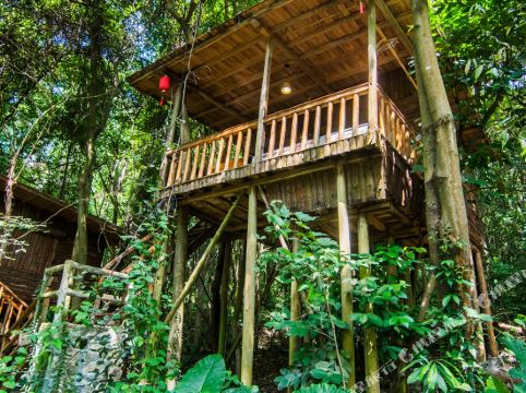 清远九州驿站(英德天门沟驿站树屋村)1晚 入住可享双人树上温泉 天门