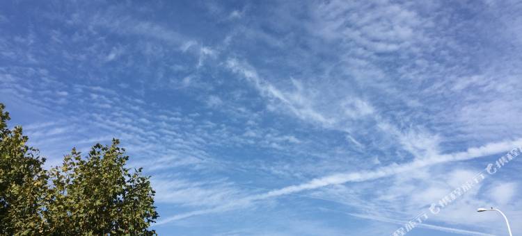 合肥悦梅琪宾馆(百大周谷堆水果交易中心店)图片