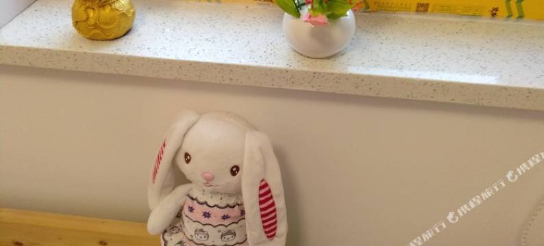 相约南京不见不散公寓(南京平江府路店)图片