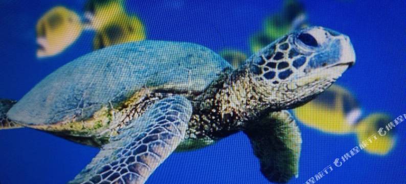 北海华伟宾馆图片