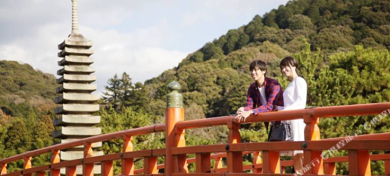 宇治之宿 茶愿寿邸(ADD-Hostel Uji Cha-Gan-ju-Tei)图片