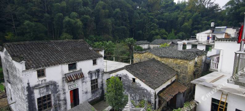 李坑村头农庄图片