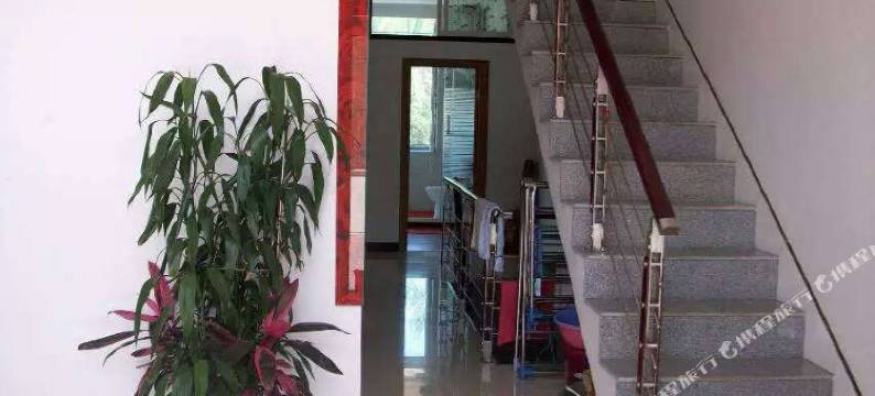 汤旺河松林阁旅馆图片