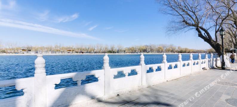 北京梧桐树之家四合院图片