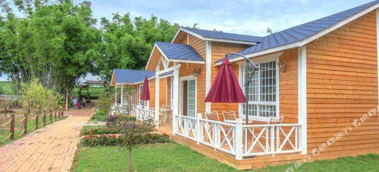 大明山茶园景区民宿图片