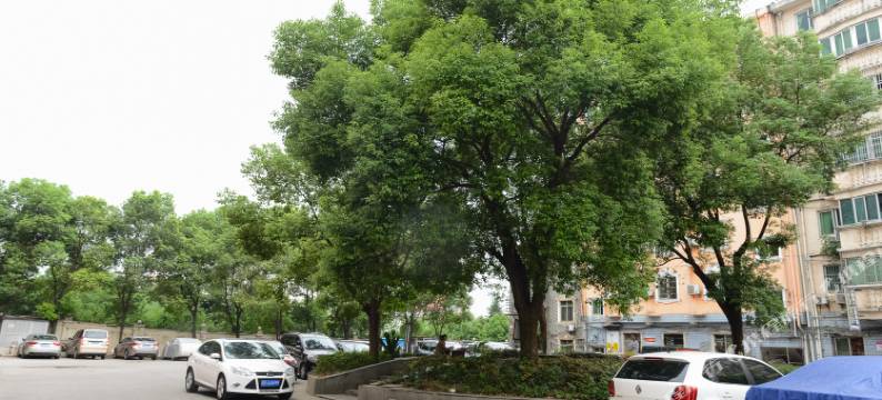 九江九德宾馆图片