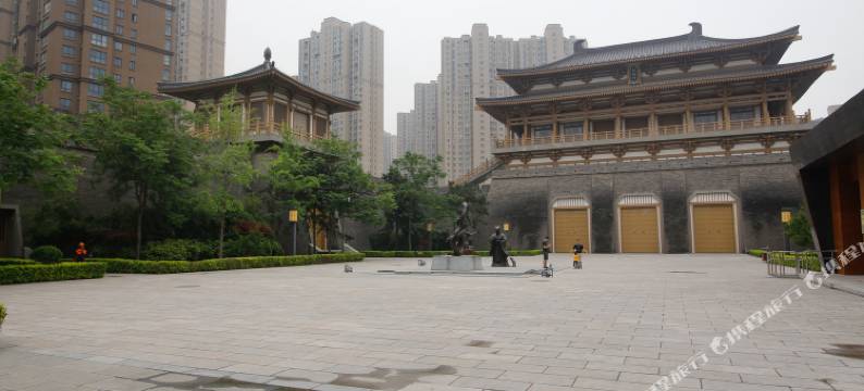 西安梧桐树下公寓图片