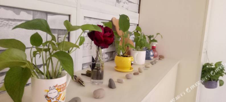 武汉Nice青年旅社图片