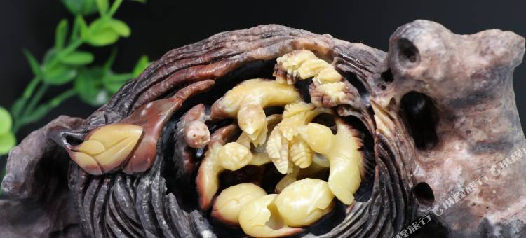 景宁青田山居图片