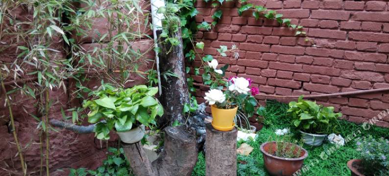 自贡花间旅舍图片