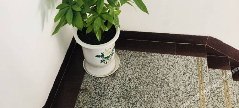 武宣宏宇宾馆图片