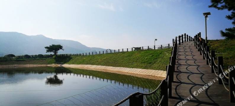 日照莓美哒庄园民宿图片