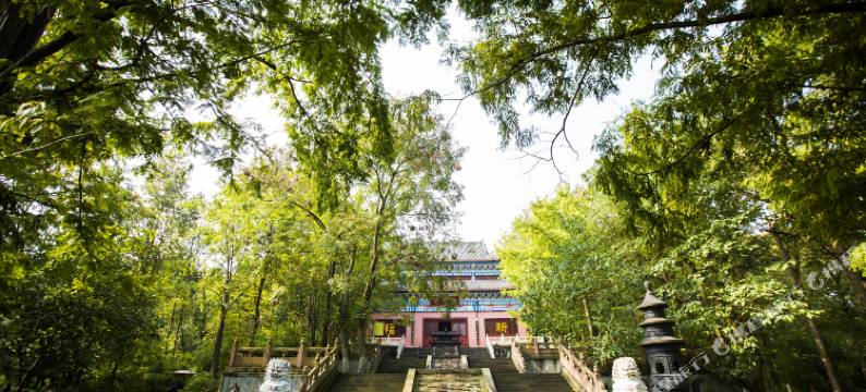 重庆紫竹宾馆图片