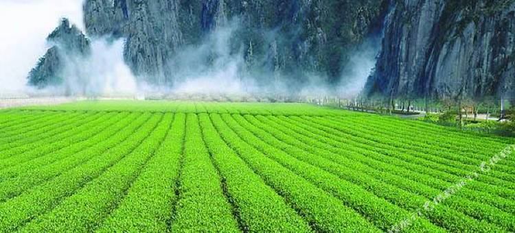 花筑·六阅茶也·枕山聆溪美宿(武夷山店)图片