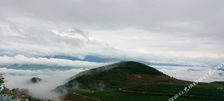 双江云顶筑巢茶庄园酒店图片