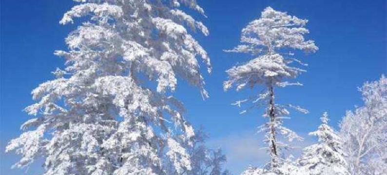 雪乡二浪河岁月客栈图片