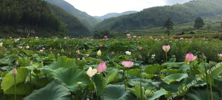 绥宁上堡印象民宿图片