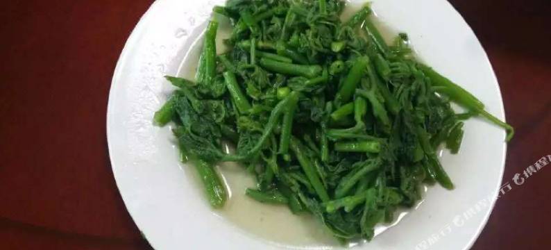 莫干山清林·闲庭山庄图片