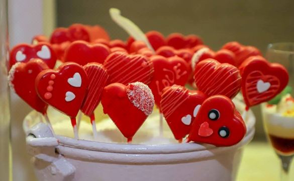 The Westin Kolkata Rajarhat Hotel Overview