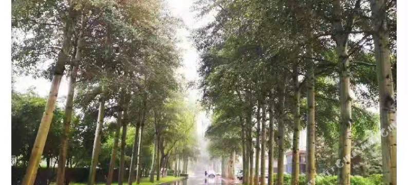 包头青山宾馆图片