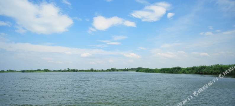 莫干山St故事民宿图片