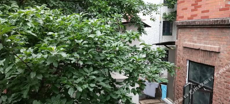 广州小龙短租房公寓(9号店)图片