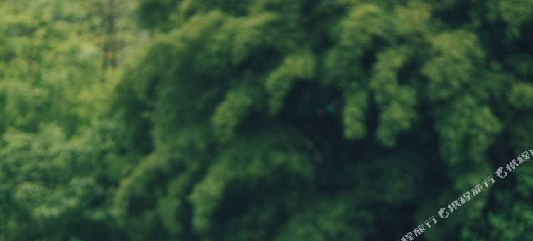 阳朔万相·青谷民宿图片