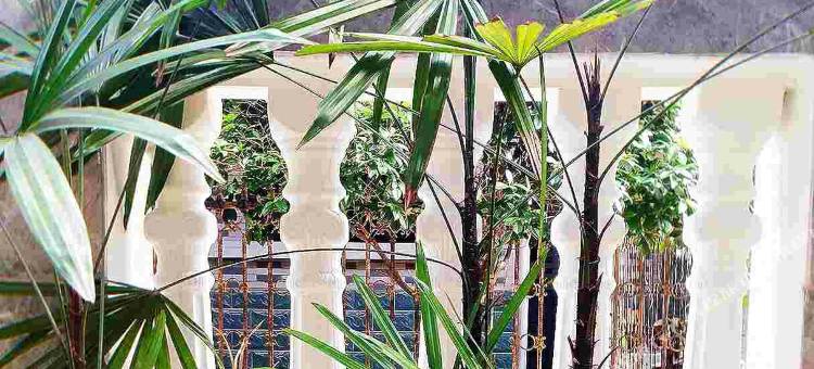 桂林芃雨民宿图片