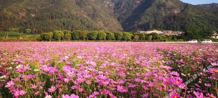 仙居小山村暖宿图片