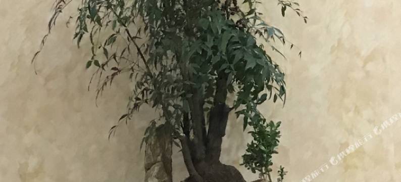 枣阳龙成宾馆(光武路店)图片