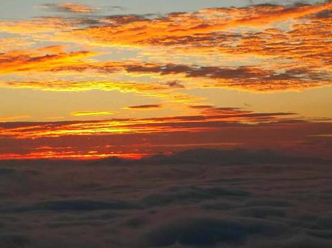 云上舍下森林民宿(金山森林公园店)图片