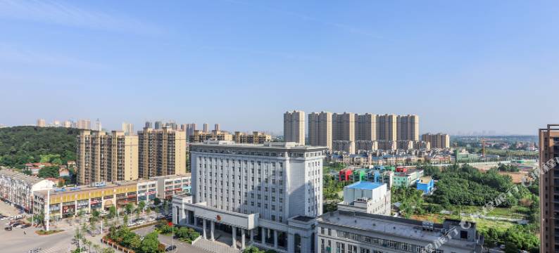 武汉振业国际酒店图片