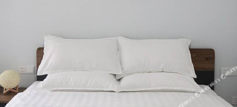 简洁品质公寓(来仪街2号分店)图片