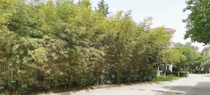 西安时光派对独栋别墅轰趴馆(翰林北路分店)图片