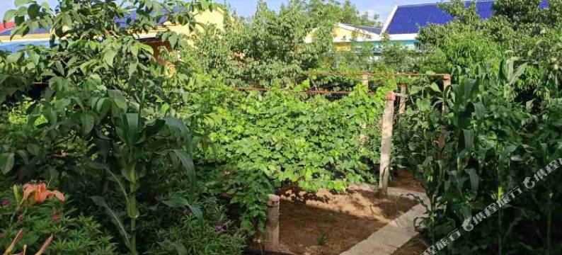 中卫金色沙坡图片