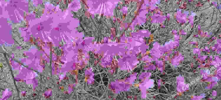 围场逸家公寓图片