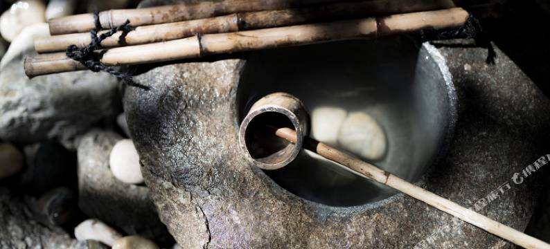 大理见竹和风民宿图片