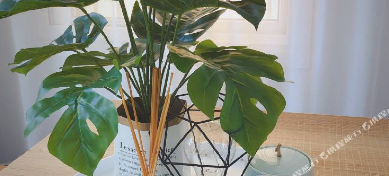 青岛尔畔withU民宿(会场赶海园店)图片