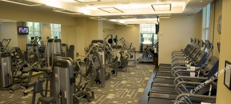 美高梅署名全套房大酒店(The Signature at MGM Grand (All Suites))图片