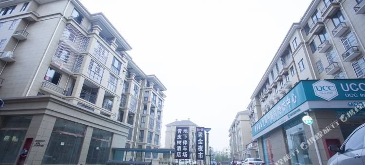 萧县青皮树酒店(龙湖路店)图片