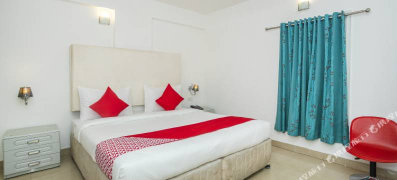 OYO Flagship 28787 Ashoka Pillar Road图片