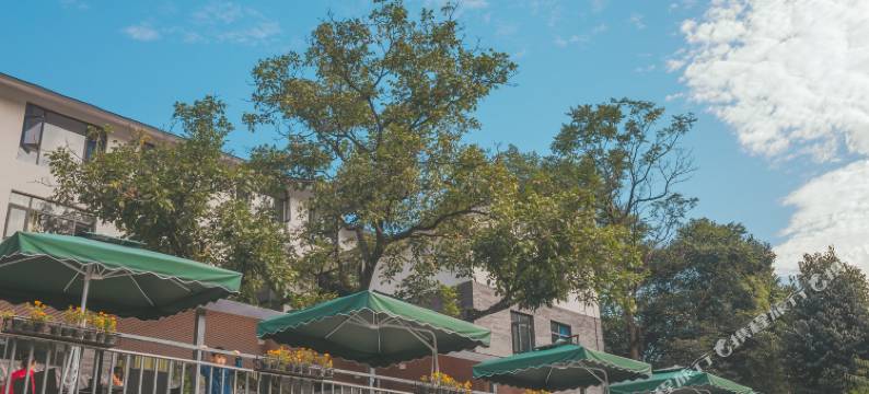 栾川颐林山居民宿(老君山云景索道店)图片