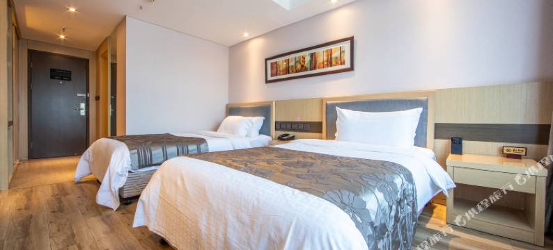 北京金枫酒店(望京798艺术区店)图片