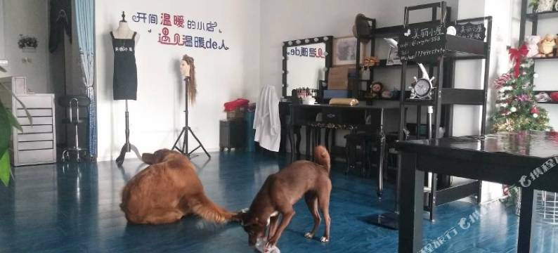 南京美丽小屋青年旅舍图片