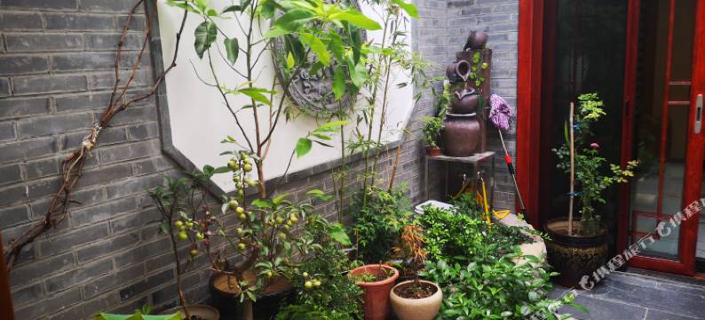 扬州高刚客栈图片