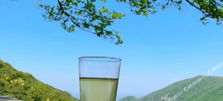 信阳紫盈茶庄园图片